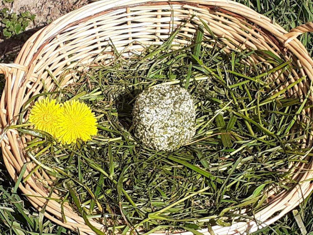 fromage frais ail et fines herbes